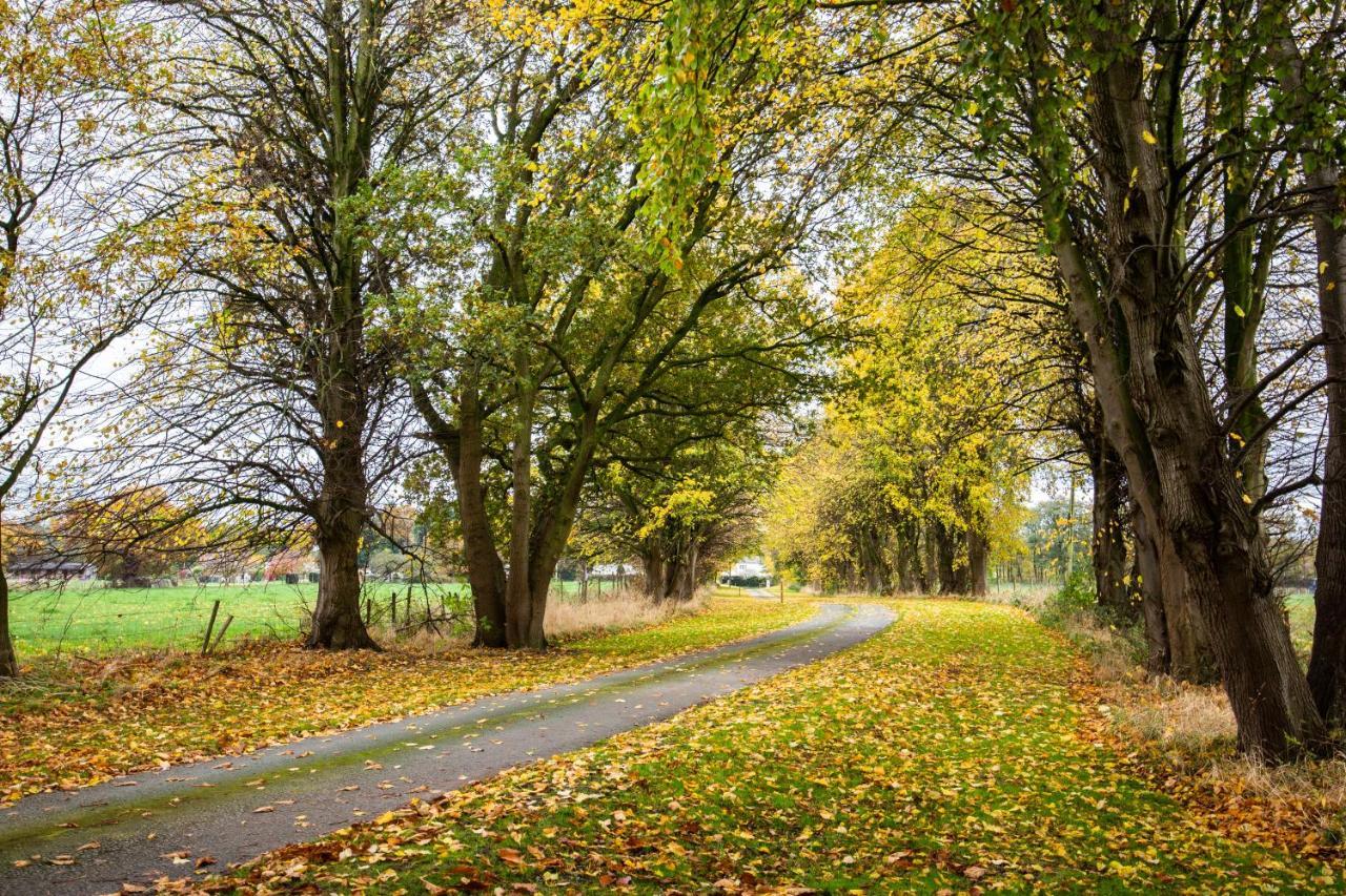 Yha Chester Trafford Hall Dunham-on-the-Hill Bagian luar foto