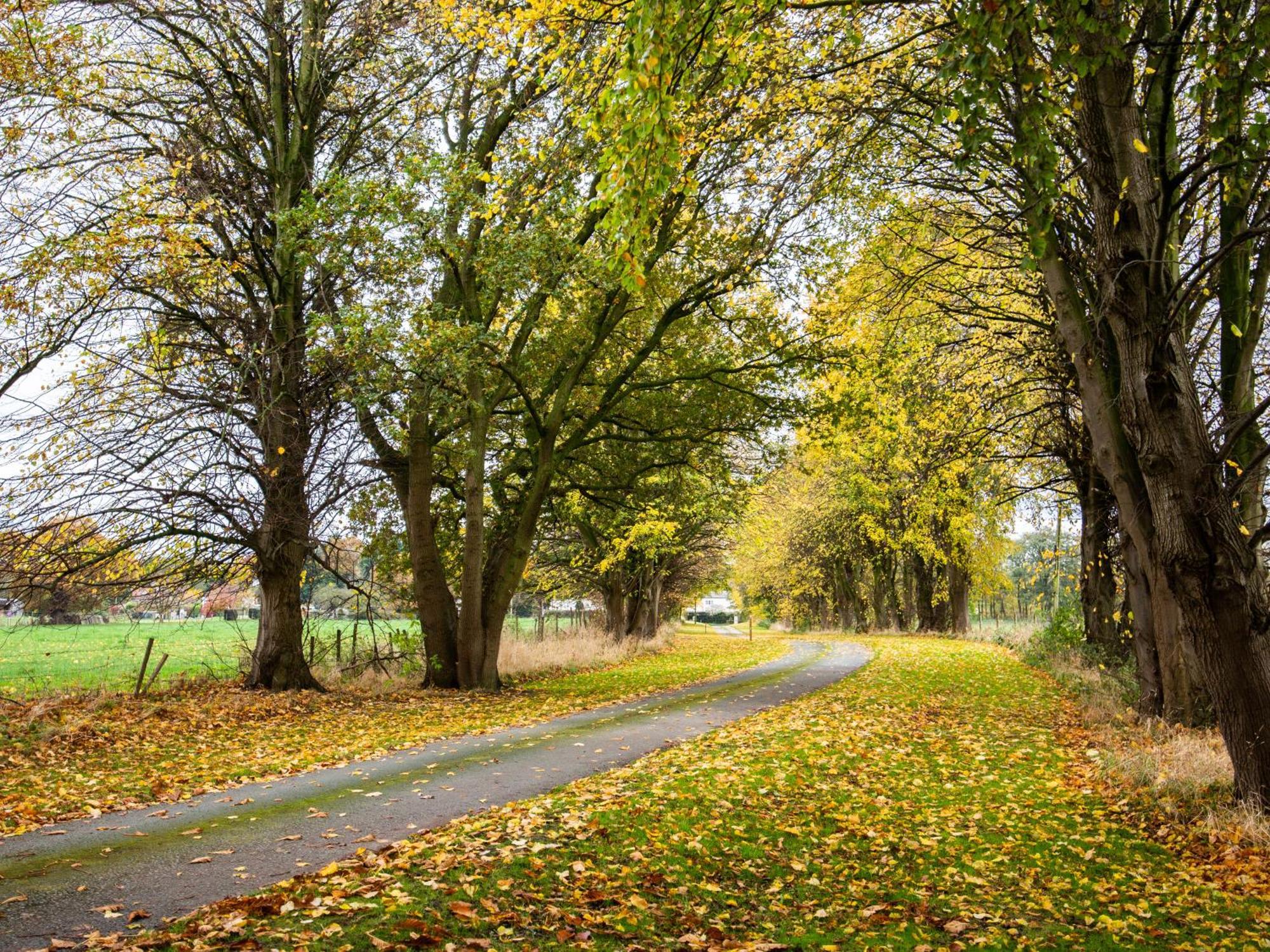 Yha Chester Trafford Hall Dunham-on-the-Hill Bagian luar foto